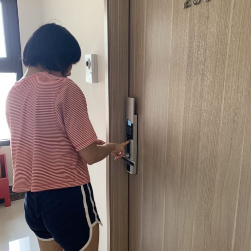 Dessman-hanoi-adelhanoi