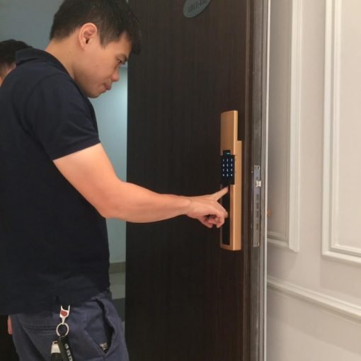 Dessman-hanoi-adelhanoi