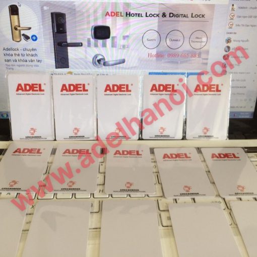 the-tu-adel-adelhanoi